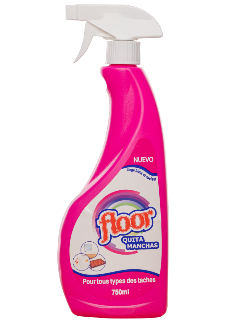 QUITAMANCHAS DTERGENT POUR VTEMENTS 750ML -